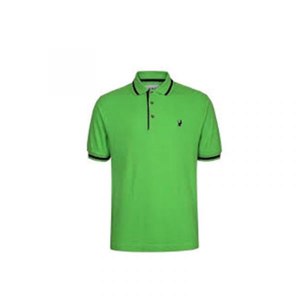 Polo Classic Vert