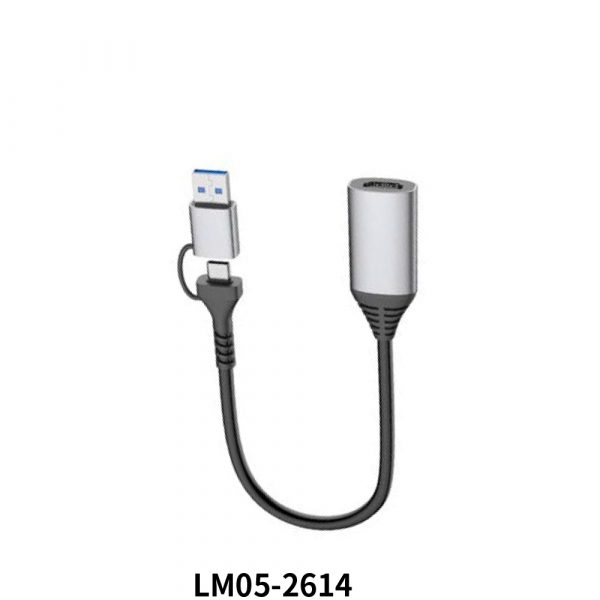 Convertisseur USB A+C